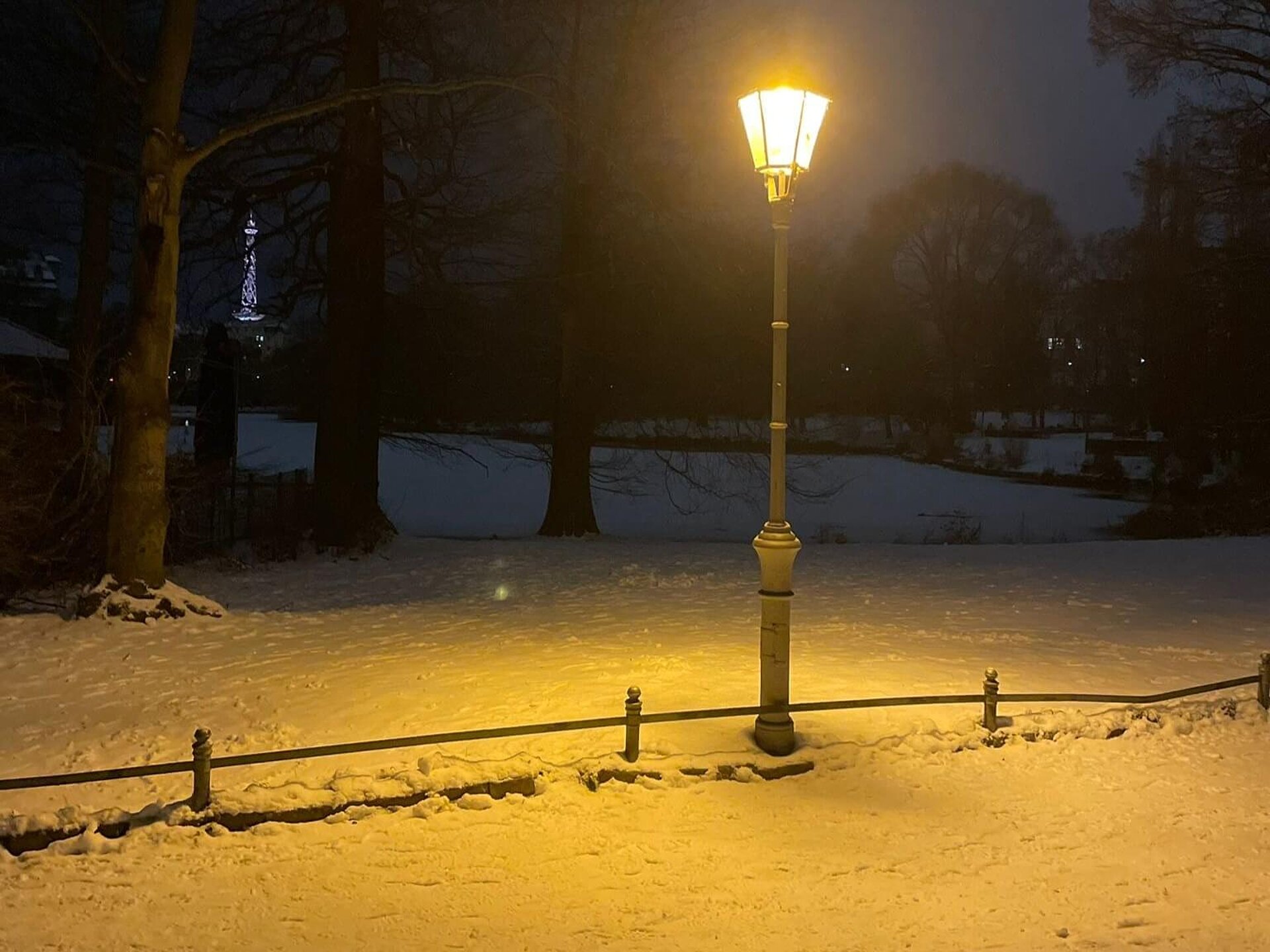 Straßenlaterne in einem dunklen, schneebedeckten Park.